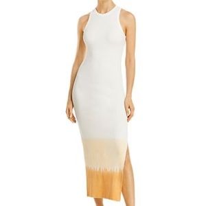 Fore Ombre Bodycon Midi Dress